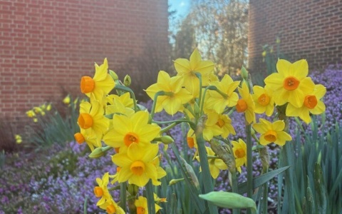 Screenshot 2026 02 06 141826