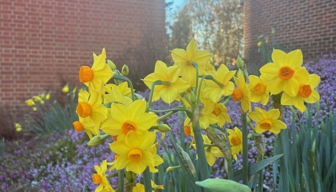 Screenshot 2026 02 06 141826