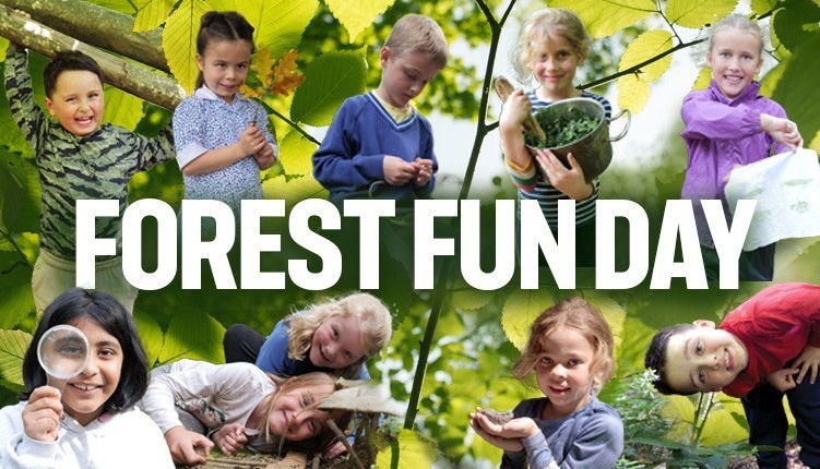 Thumbnail Forest Fun Pop up graphic