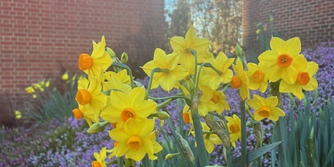 Screenshot 2026 02 06 141826