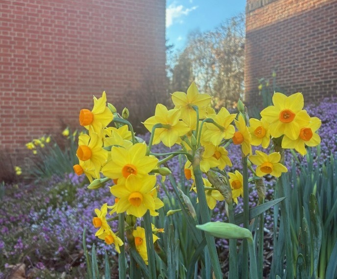 Screenshot 2026 02 06 141826